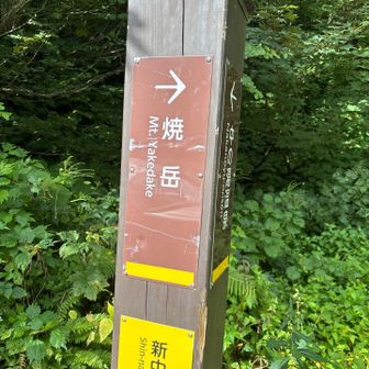リベンジスタート