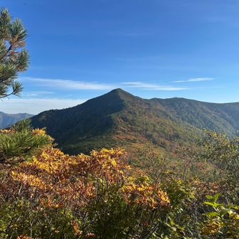 紅葉シーズン入ってます🍁