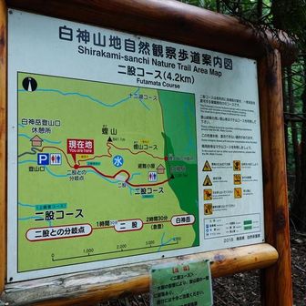 迷うことなくマテ山コースでw