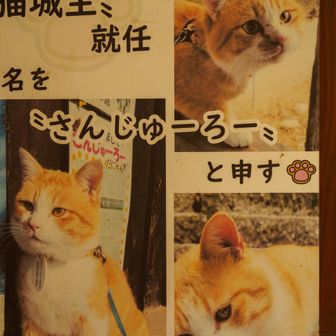 欠勤なされてるので、仕方なくパネルを撮影・・・