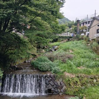 水量が豊富