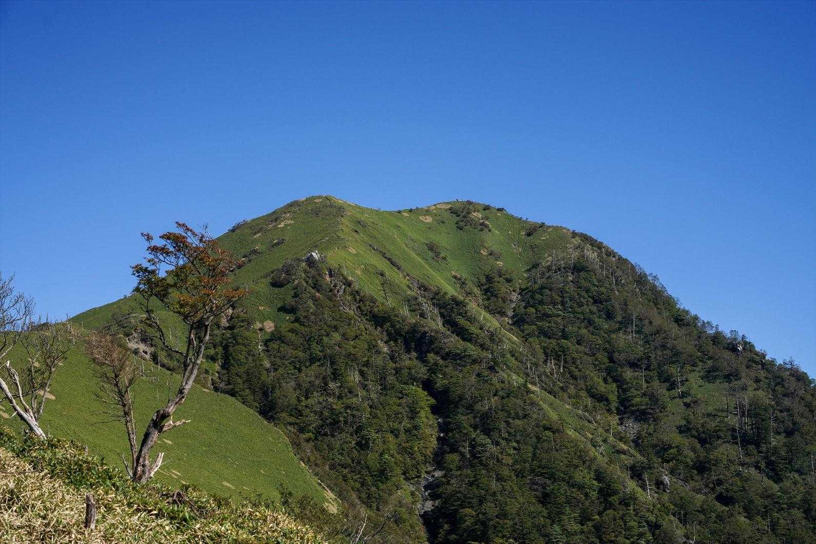 次郎笈登山口-次郎笈 周回コースの写真