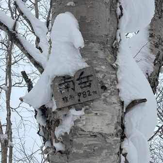 さらに結構奥に入って南岳到着！
あまり聞かない山だよね⛰️