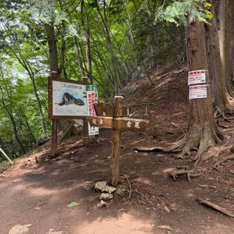 分岐の股峠まではほんの数分で着く
まずは東岳に登る