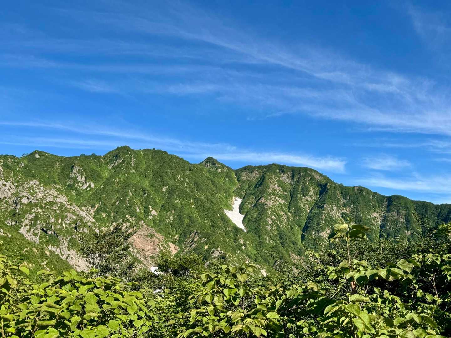 御沢登山口-横峰 縦走コースの写真