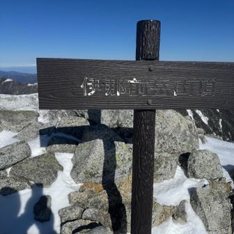 何故か風が強めなのですぐに撤収。
