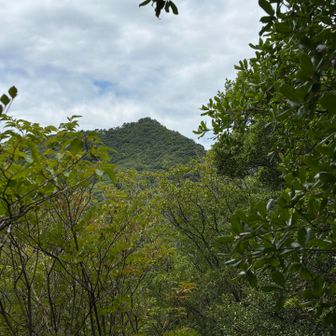 槇山を望む