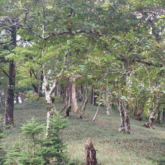 山荘のベンチから…