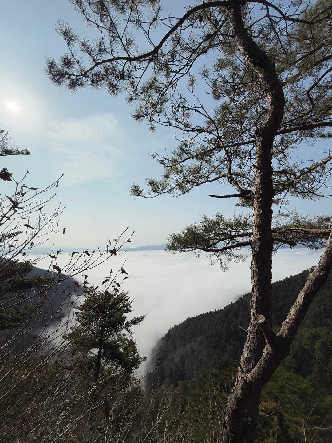 雲海〜🥰山頂で見るべきだったかも？