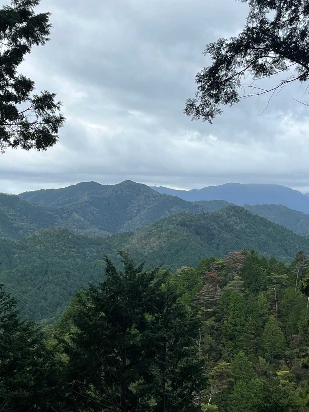 なんとか雨大丈夫です🌂