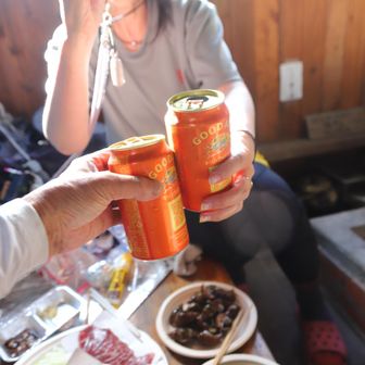 ビールで乾杯