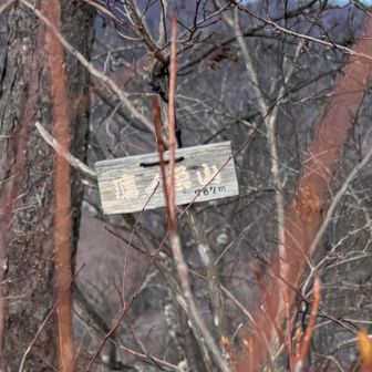 鷹ノ巣山到着🙌