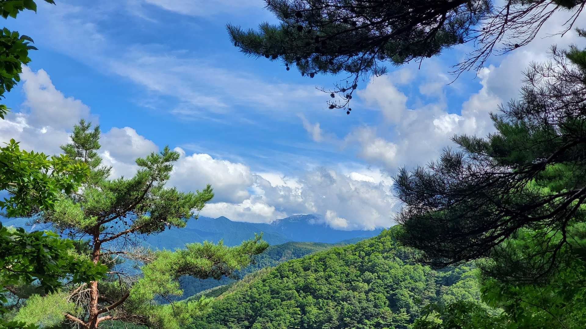ちょっと開けたところから。

滝汗ですが、水入れながら先へ進みます。