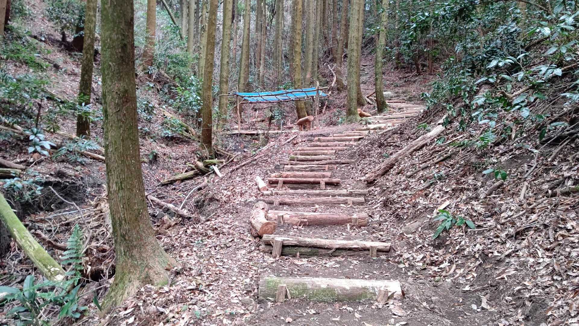 以前無かった階段も…👌