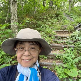 こんな階段を山頂へ歩きました