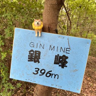 下りは楽チン