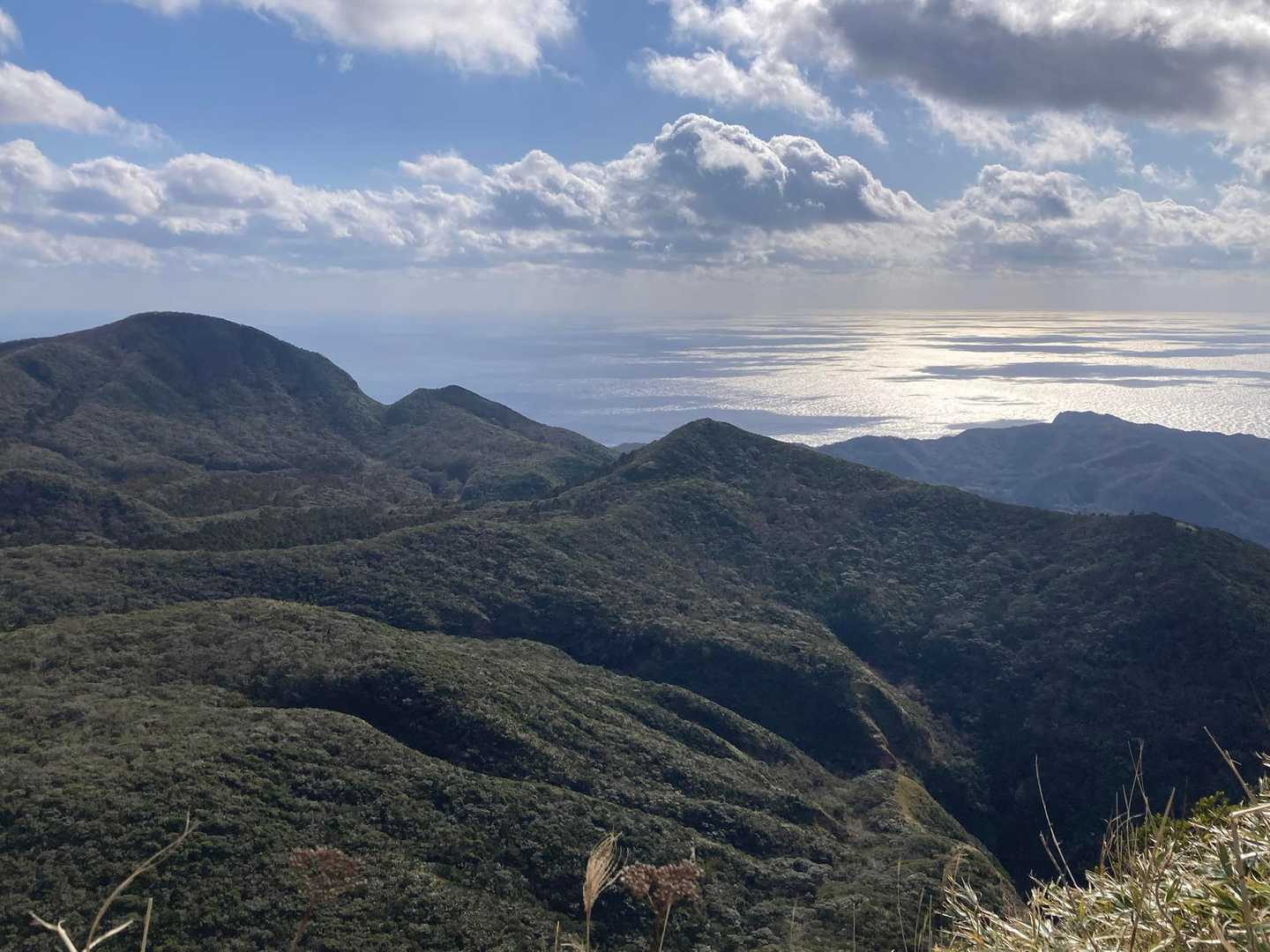 防衛道路登山口〜樫立登山口｜三原山縦走コースの写真