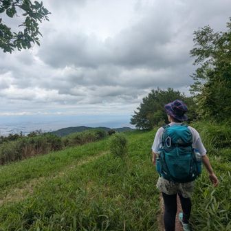 東おたふくの特別室に続く道が気持ち良いのです
曇り空なのがちょっと残念