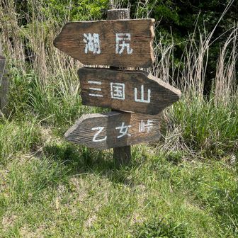 乙女峠の指す方向に、道路を渡れと。