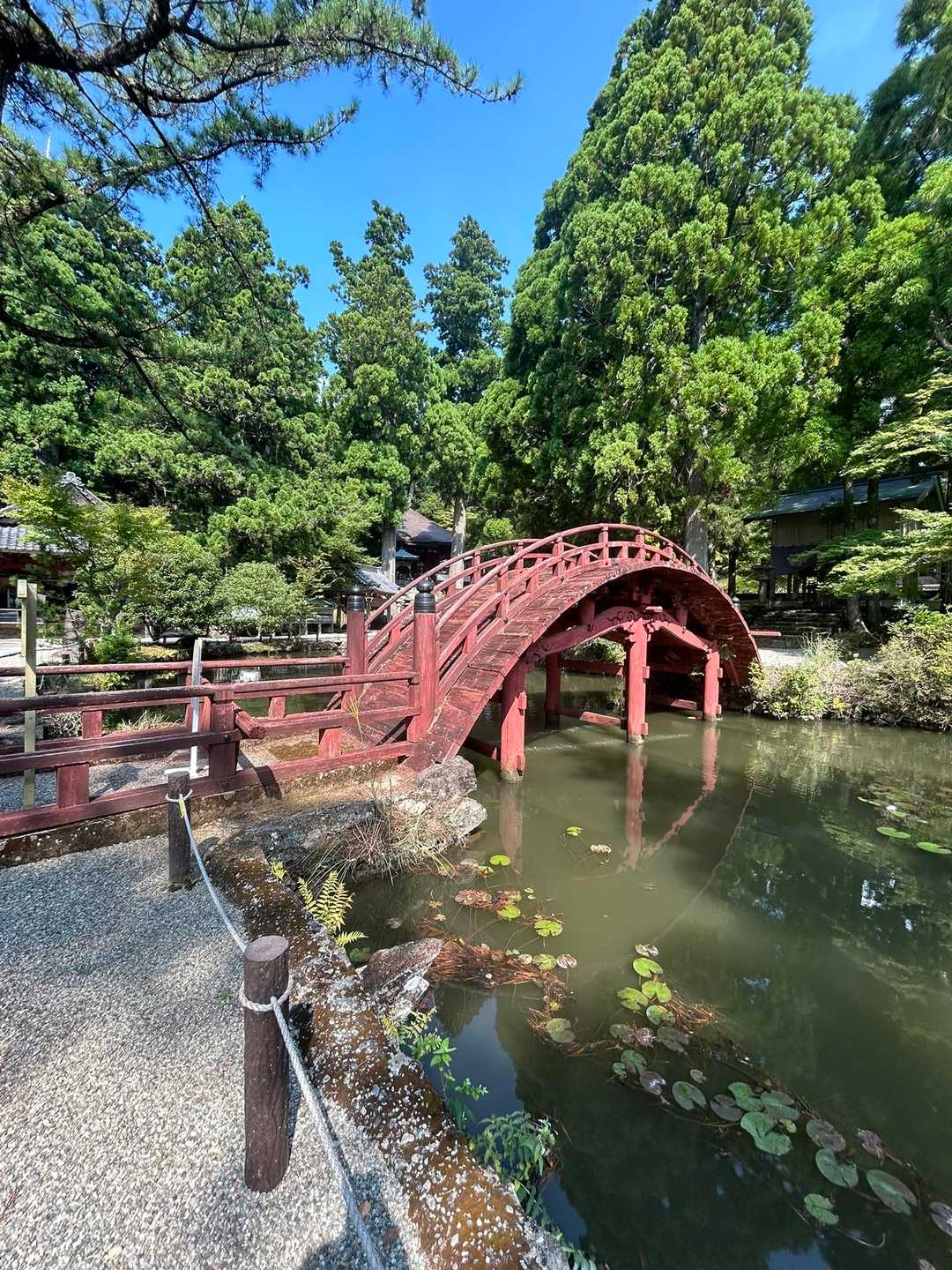 朝熊山-朝熊峠-朝熊ヶ岳 往復コースの写真