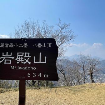 岩殿山山頂到着！！
富士山どこ？‎( ꒪⌓꒪)