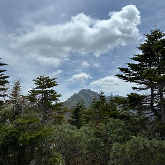いっかい、標高を下げてまたこの角度から塩見を見る。