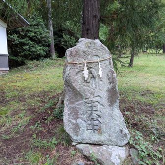 またまた巨石