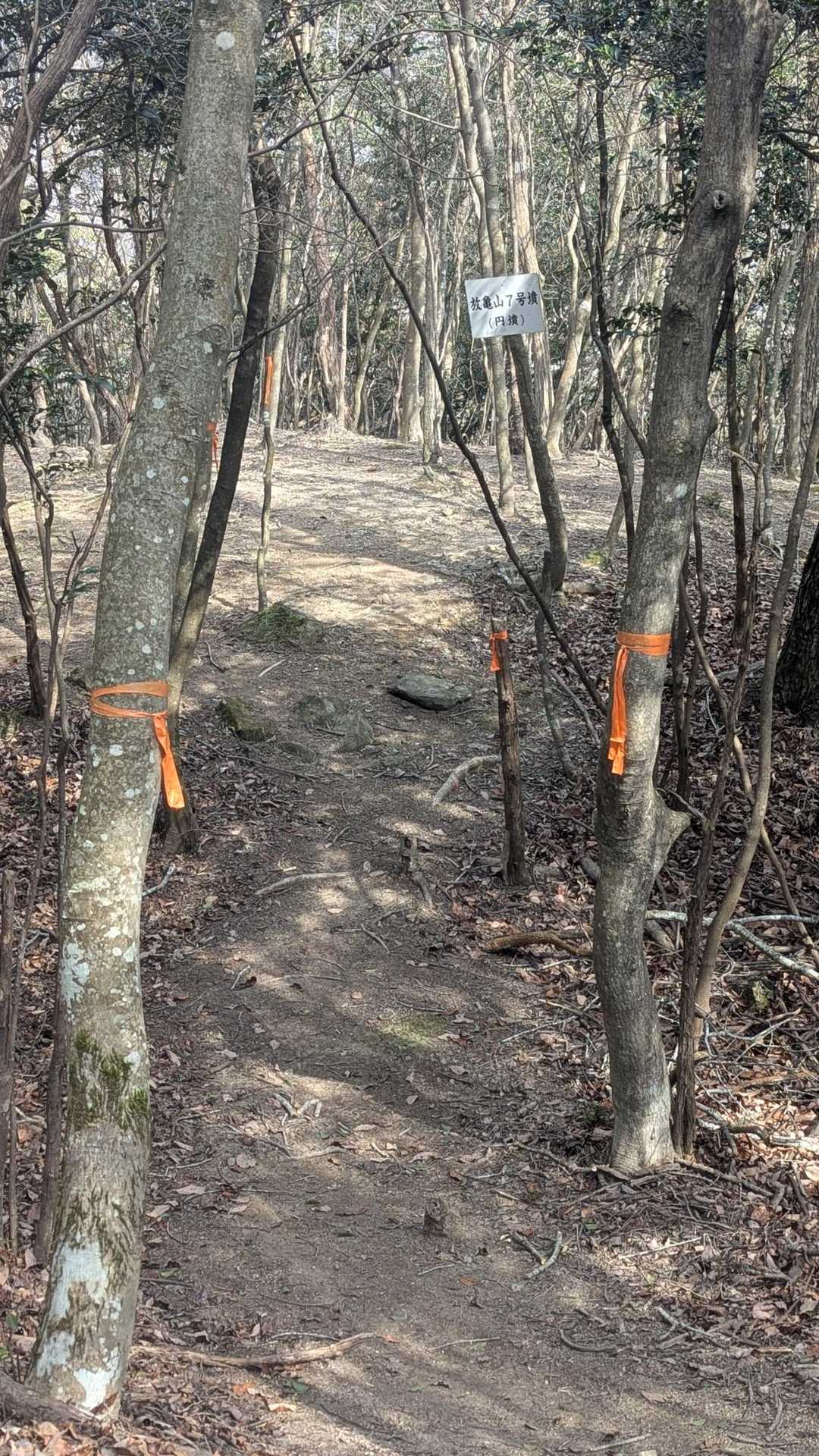 　放亀山から下り大鷹山山頂の山城を目指します。