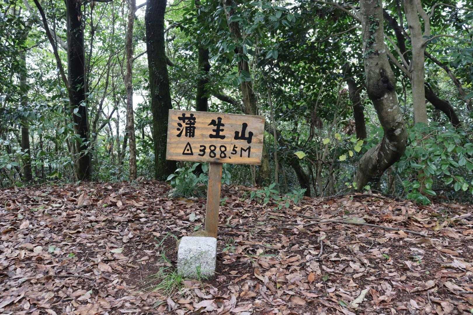 蒲生山(かもうやま)