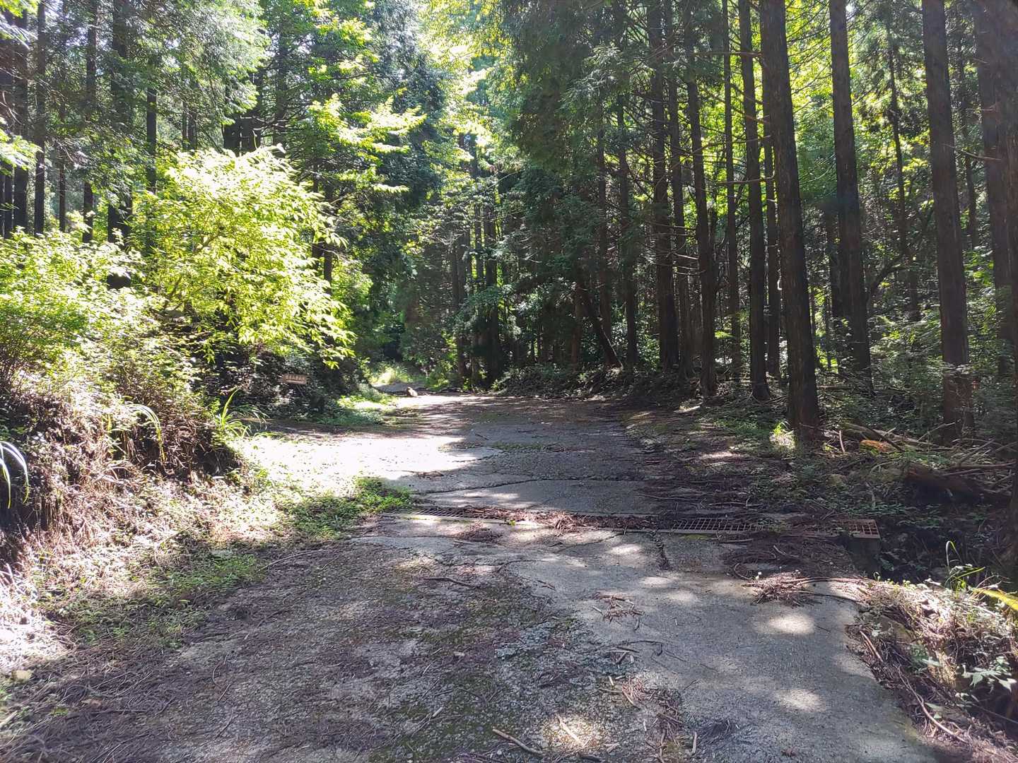 緩木山登山口への分岐に到着🙌
ここまで🚙で来ることも可能です😘