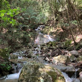 千鳥の滝💦