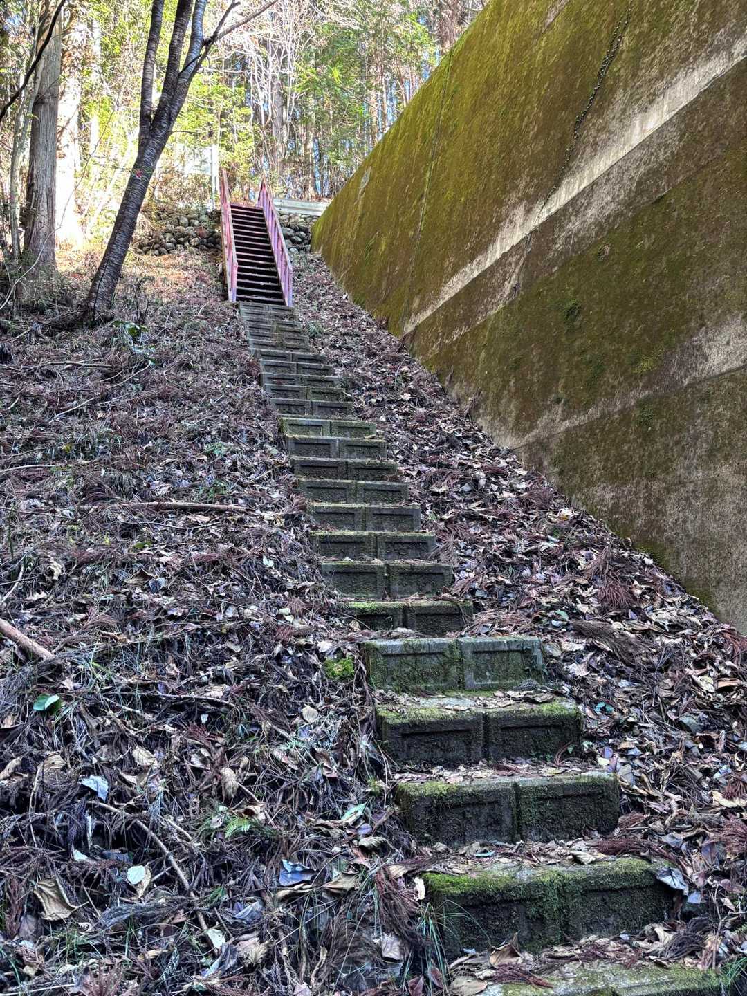 萬蔵山 往復コースの写真