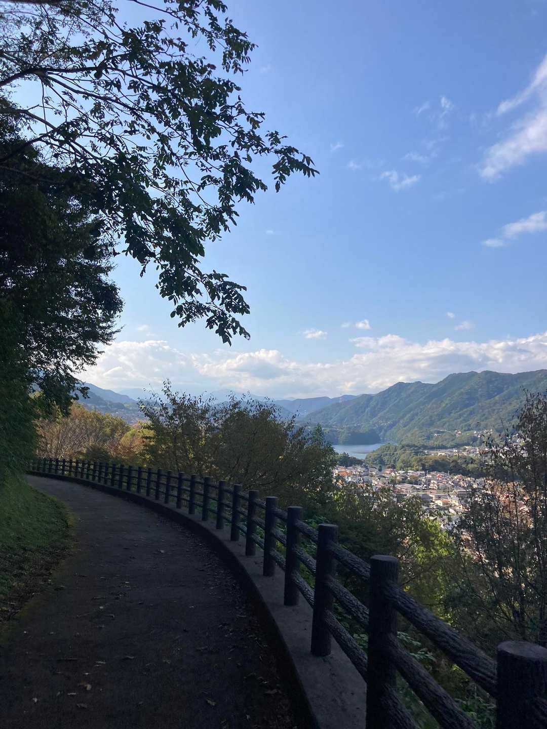 城山登山口-不動平 往復コースの写真
