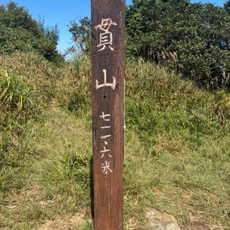 久しぶりの貫山山頂