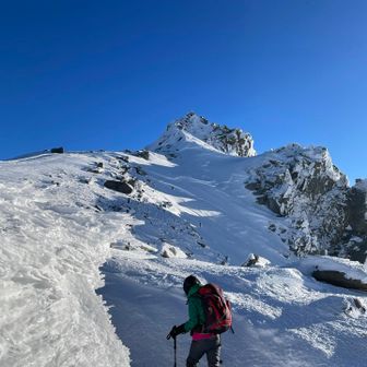 エビの尻尾祭！