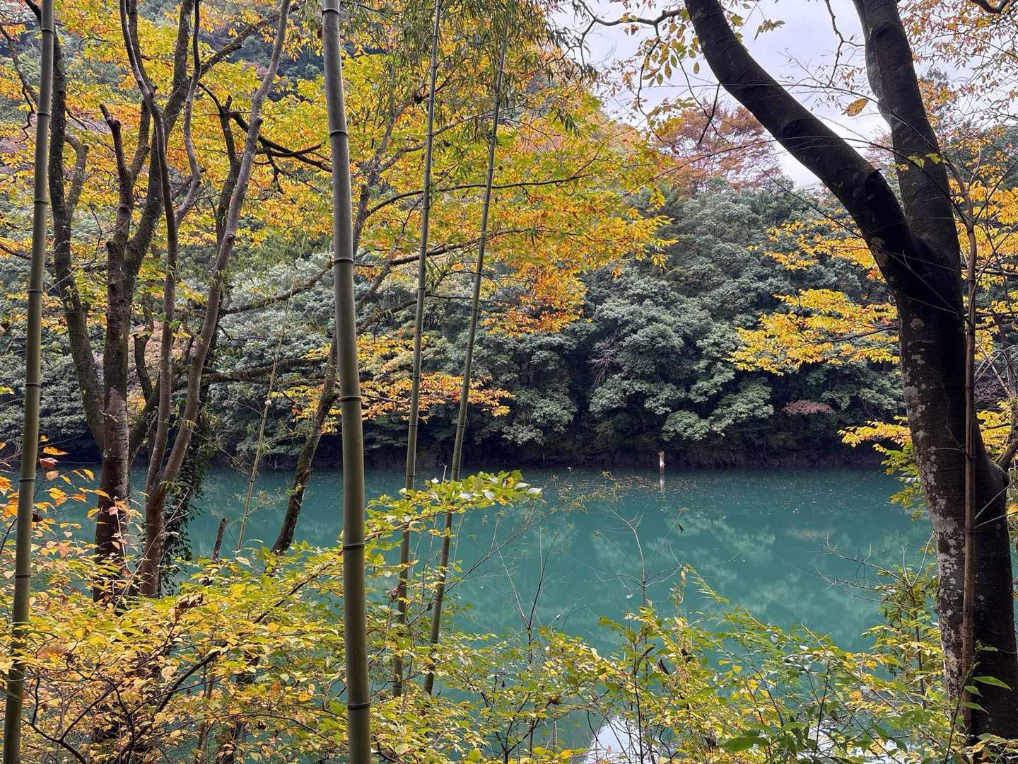 美しい😍