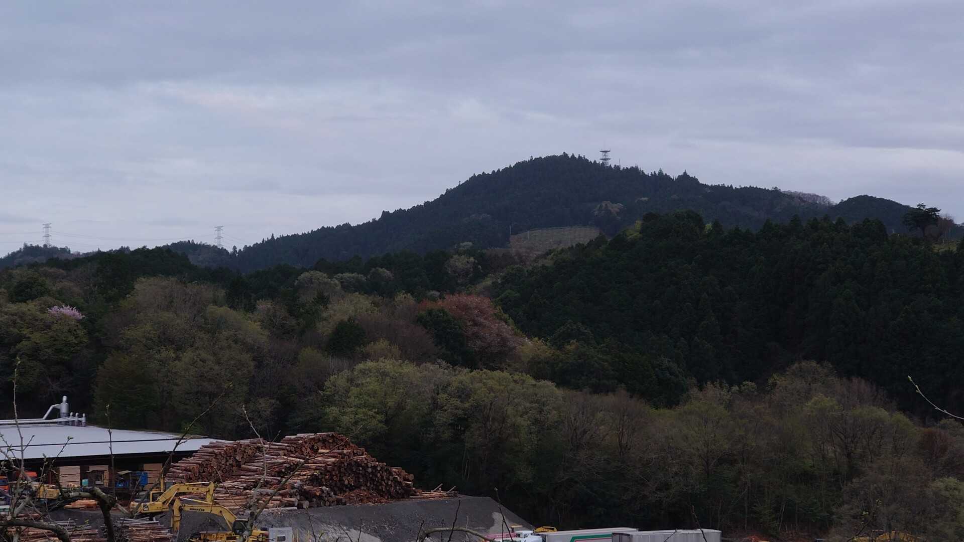 栃原岳の写真