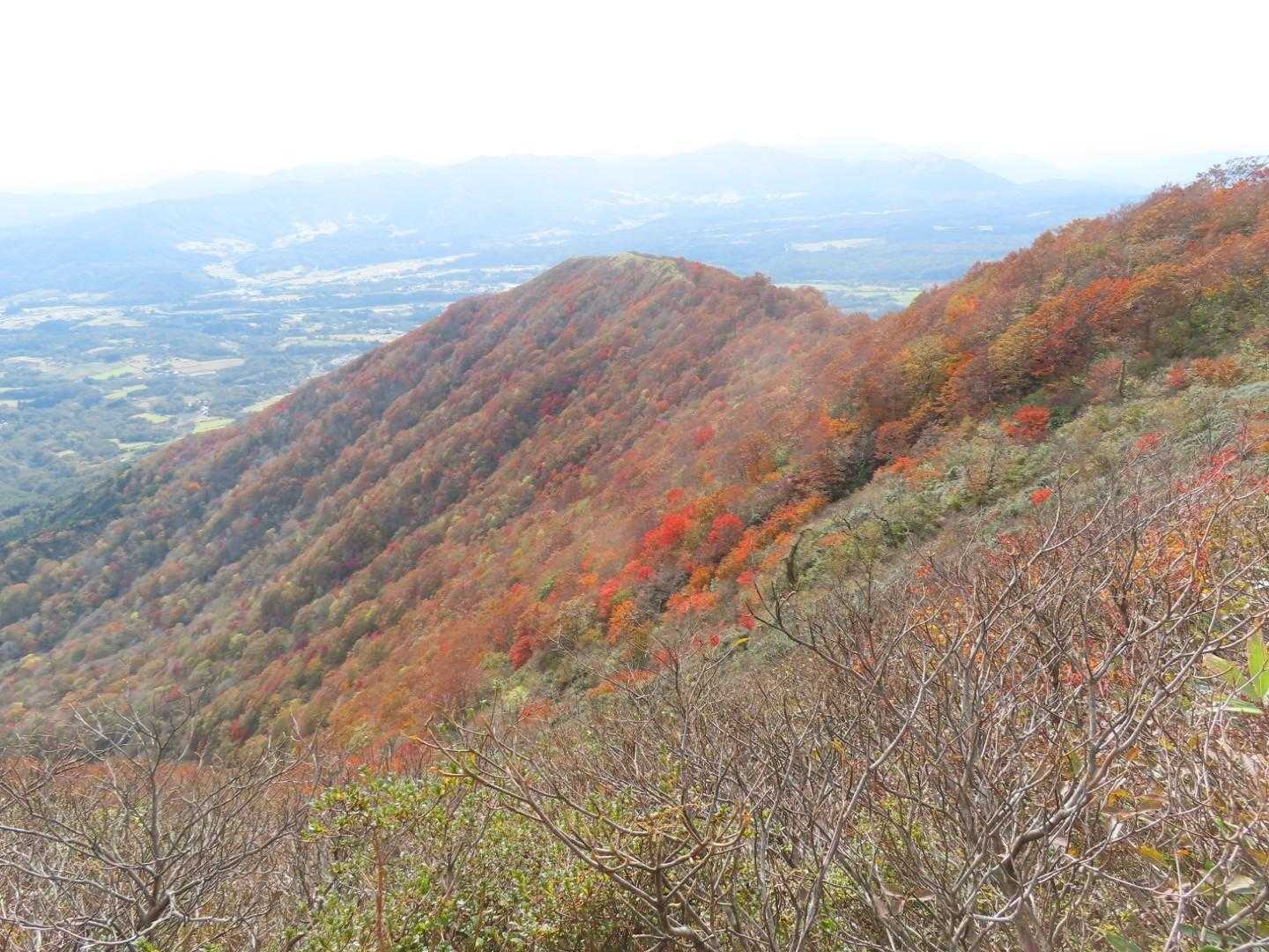 🍁🍁