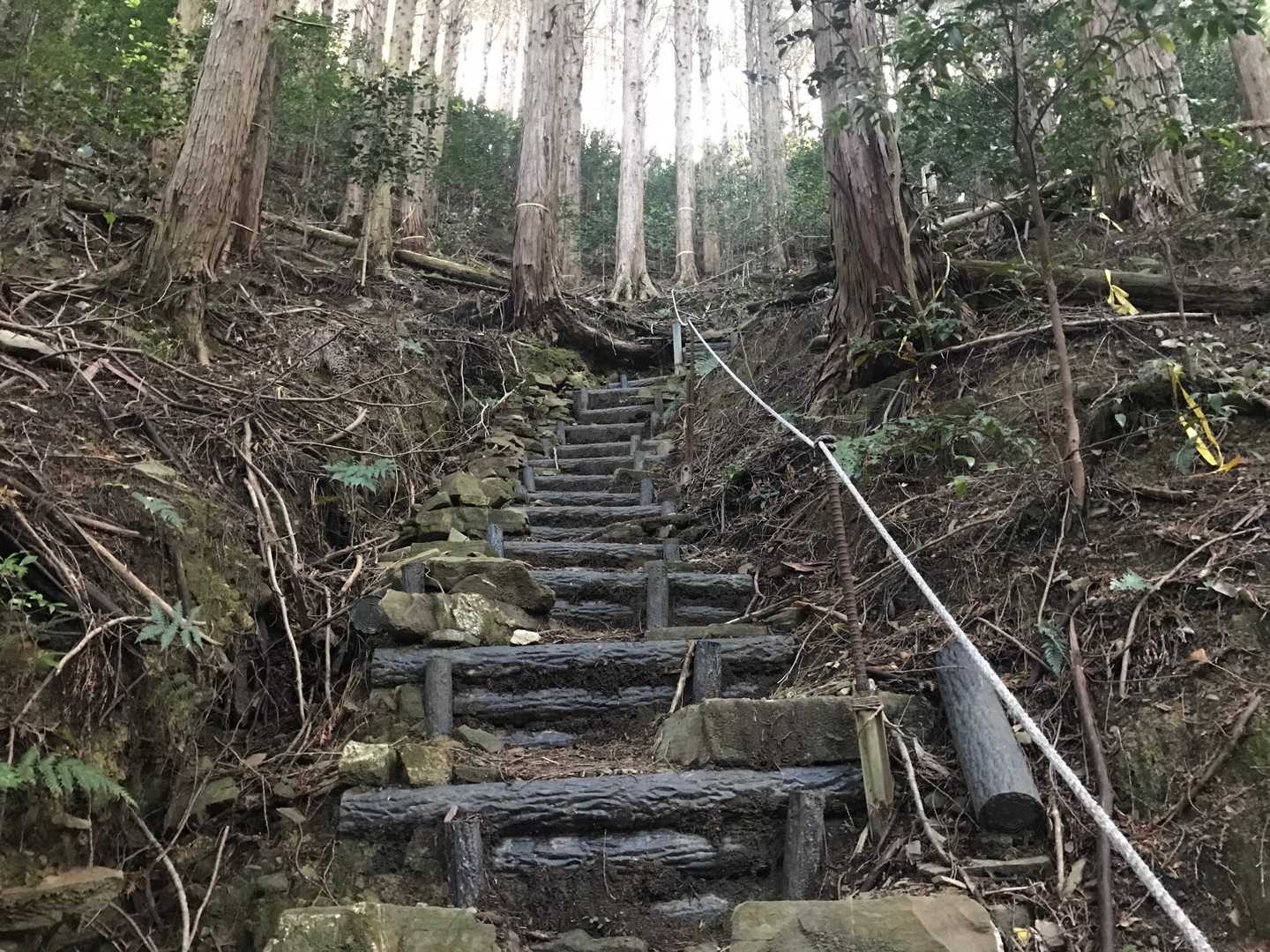 しばらく林道を進むと階段が始まる