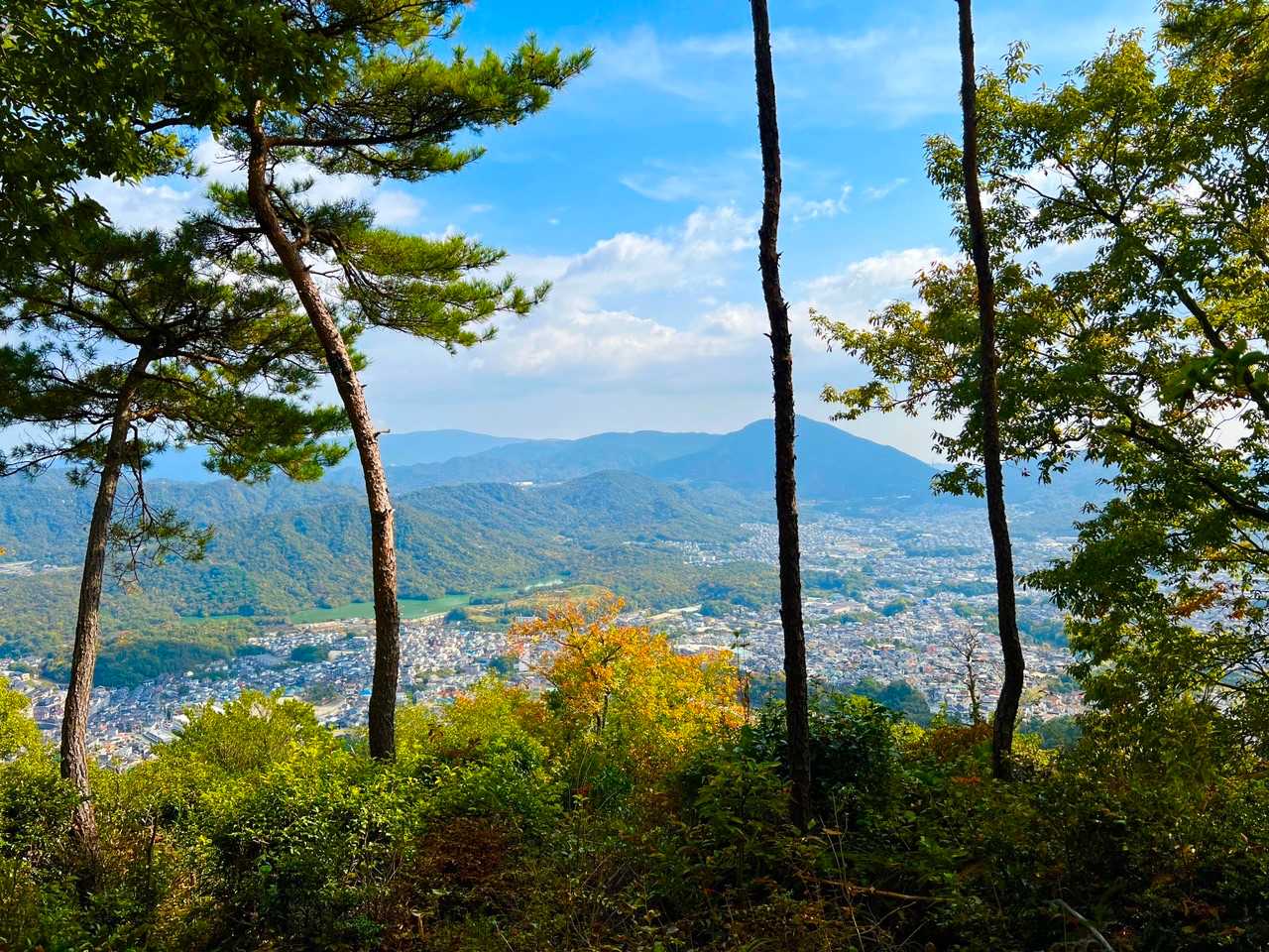 やっと美しい景色