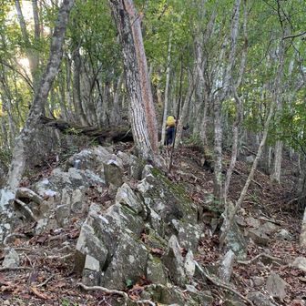 次のヌカザス山への登り返しもかなりの急登です。前の人の黄色いリュックサックが分かりますか？