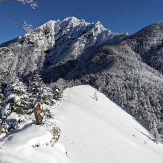 青ナギ、なんでこんな呼び方するかググってみたら、へ～～って感じ