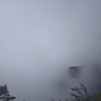 花立山荘🛖真っ白。