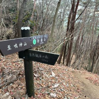 萱野山の分岐を自然観察の森方向へ。
GPを３座ゲットします👍