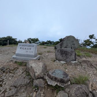 着いた