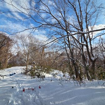 反対側、空は綺麗だ