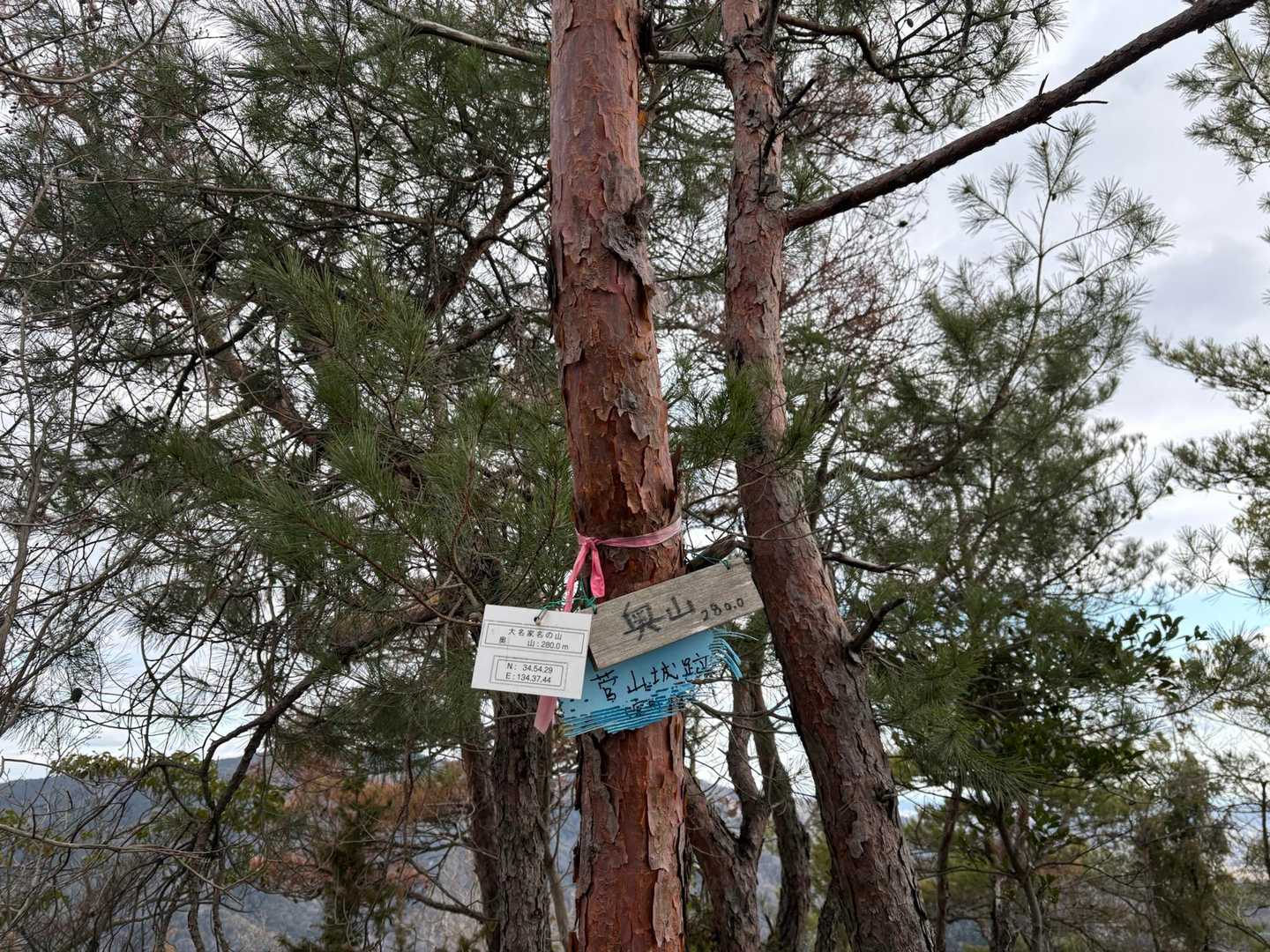 ついでに奥山も！！