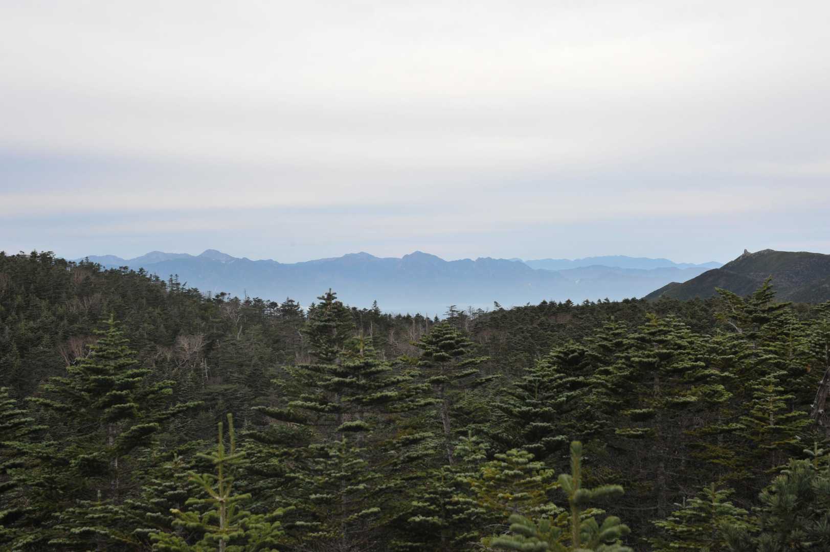 金峰山、南アルプス方面。
右から金峰山、ちょっと離れて甲斐駒ヶ岳、仙丈ケ岳、そして白根三山の北岳、間ノ岳、農鳥岳が並んでいます😍✨