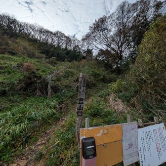 入口から傾斜がけっこうある。