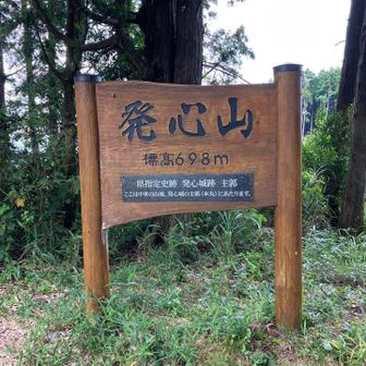 そして頂上！